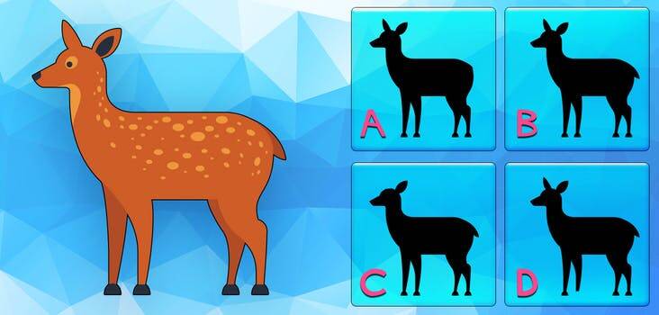 Find The Correct Silhouette Quiz Answers - My Neobux Portal